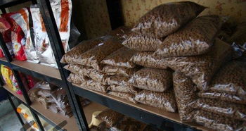 三好街五里河街沈音東門寵物店 您的寵物生活一站式服務專家